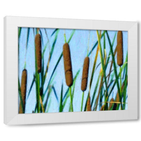 Cattailes White Modern Wood Framed Art Print by McNemar, C. Thomas