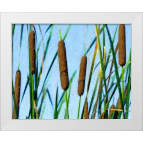 Cattailes White Modern Wood Framed Art Print by McNemar, C. Thomas