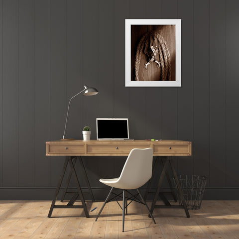Spurs White Modern Wood Framed Art Print by McNemar, C. Thomas