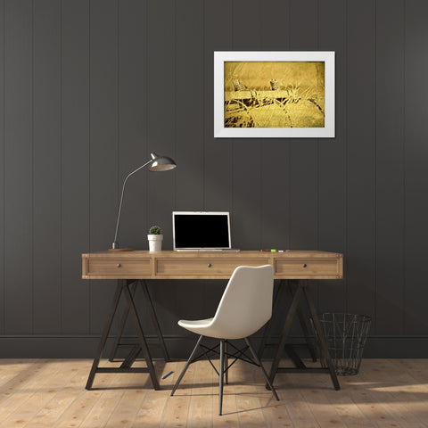 Farm Implement White Modern Wood Framed Art Print by McNemar, C. Thomas