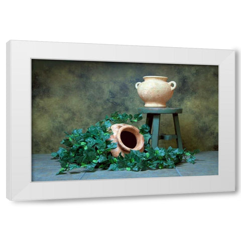 Pottery with Ivy I White Modern Wood Framed Art Print by McNemar, C. Thomas