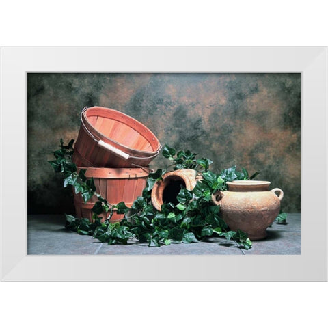 Pottery with Ivy II White Modern Wood Framed Art Print by McNemar, C. Thomas