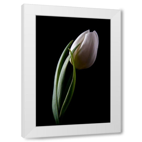 Tulips III White Modern Wood Framed Art Print by McNemar, C. Thomas