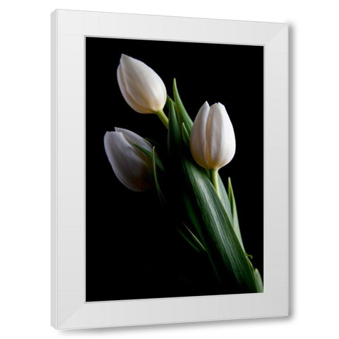 Tulips IV White Modern Wood Framed Art Print by McNemar, C. Thomas