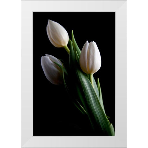 Tulips IV White Modern Wood Framed Art Print by McNemar, C. Thomas