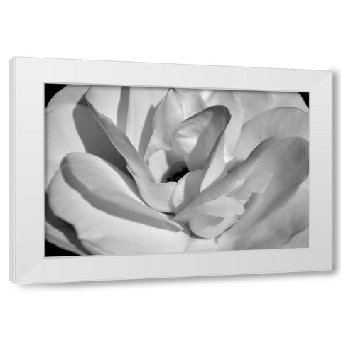 Macro Flower I White Modern Wood Framed Art Print by Moore, Brian