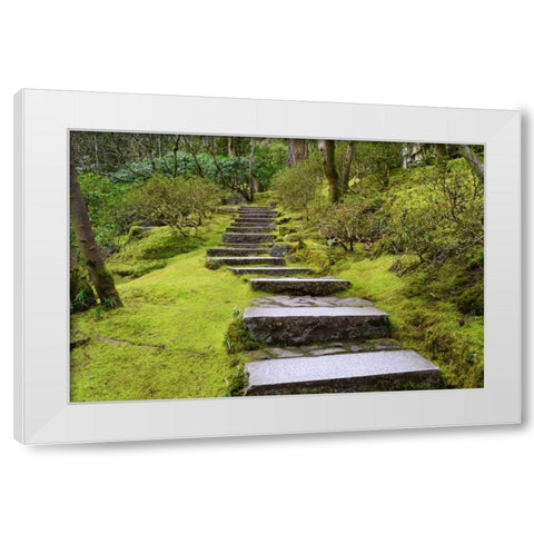 Steps II White Modern Wood Framed Art Print by Moore, Brian