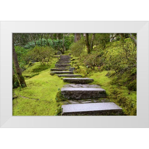 Steps II White Modern Wood Framed Art Print by Moore, Brian