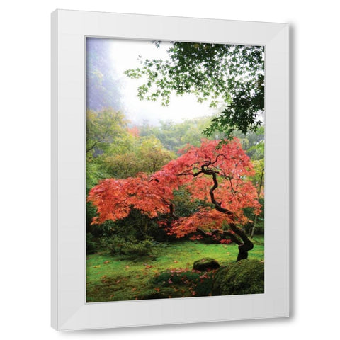 Japanese Gardens IV White Modern Wood Framed Art Print by Moore, Brian