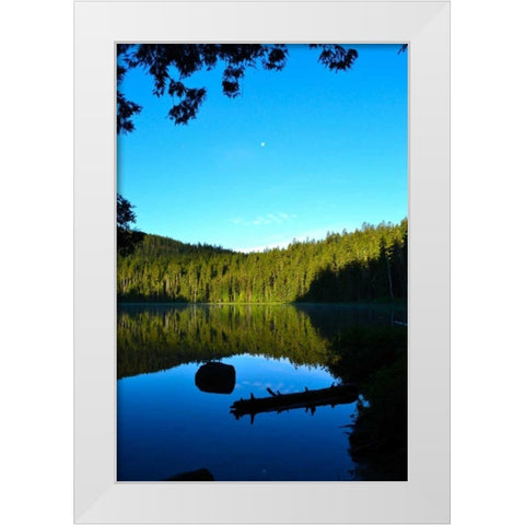 Morning at the Lake I White Modern Wood Framed Art Print by Moore, Brian