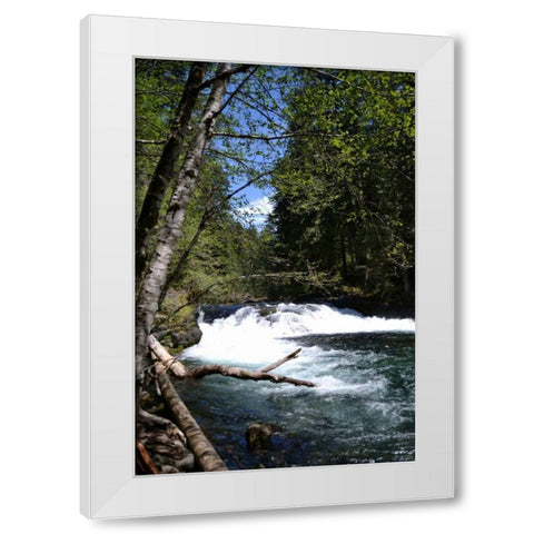 Rapids II White Modern Wood Framed Art Print by Moore, Brian
