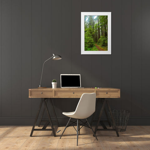 Hiking Trail II White Modern Wood Framed Art Print by Moore, Brian