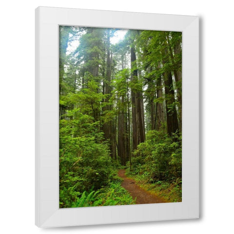 Hiking Trail II White Modern Wood Framed Art Print by Moore, Brian