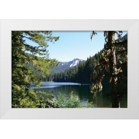 Morning at the Lake III White Modern Wood Framed Art Print by Moore, Brian