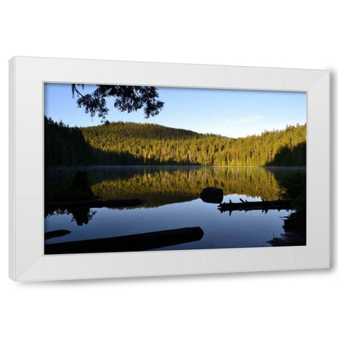 Morning at the Lake IV White Modern Wood Framed Art Print by Moore, Brian