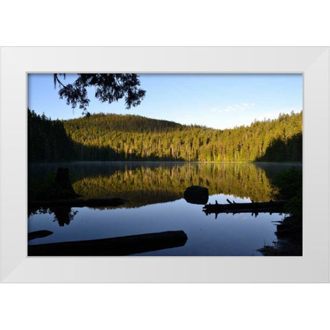 Morning at the Lake IV White Modern Wood Framed Art Print by Moore, Brian