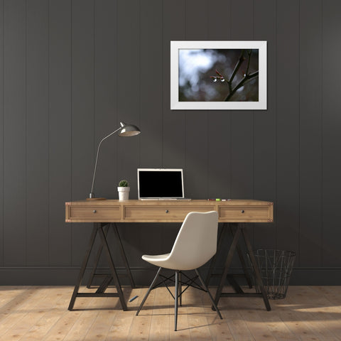 Dew Drops White Modern Wood Framed Art Print by Moore, Brian