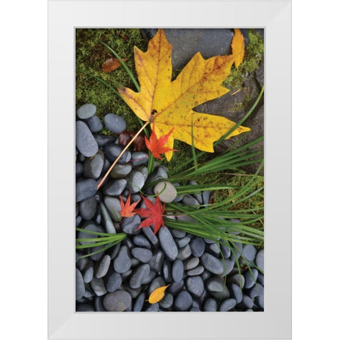 Maple Leaves II White Modern Wood Framed Art Print by Moore, Brian