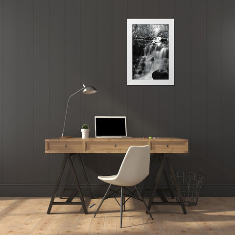 BW Falls in the Forest III White Modern Wood Framed Art Print by Moore, Brian