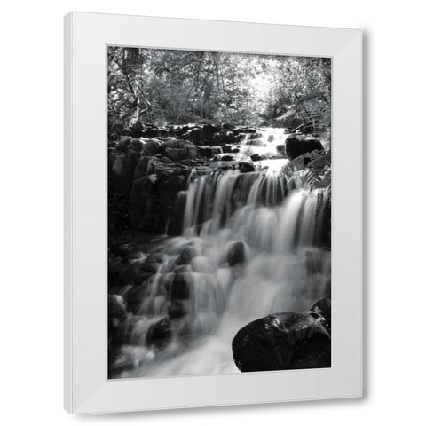 BW Falls in the Forest III White Modern Wood Framed Art Print by Moore, Brian