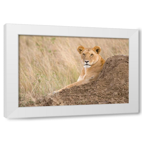 Vantage Point White Modern Wood Framed Art Print by Parker, Susann