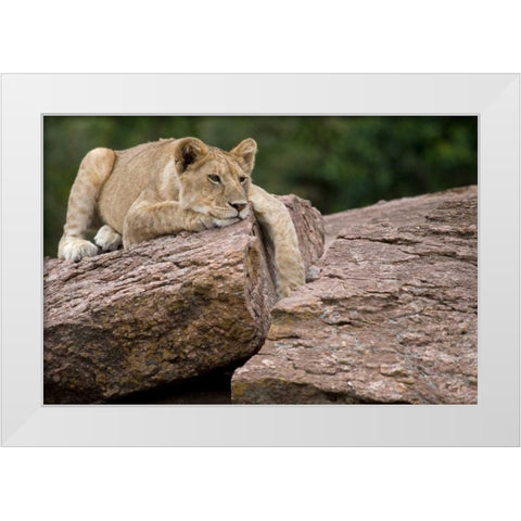 Lounging White Modern Wood Framed Art Print by Parker, Susann