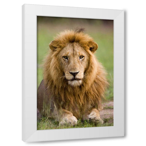 The King White Modern Wood Framed Art Print by Parker, Susann