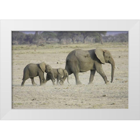 Memory Lane White Modern Wood Framed Art Print by Parker, Susann