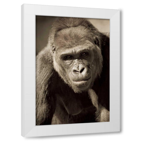 Planet of the Apes White Modern Wood Framed Art Print by Parker, Susann
