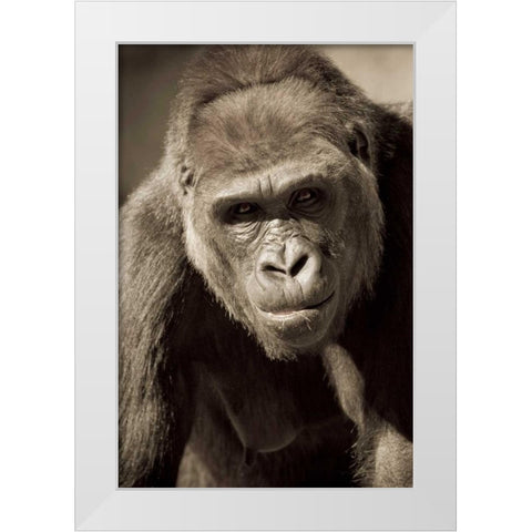 Planet of the Apes White Modern Wood Framed Art Print by Parker, Susann