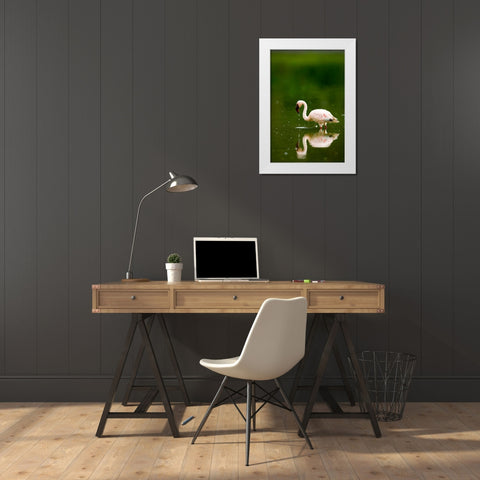 Pink Reflection White Modern Wood Framed Art Print by Parker, Susann