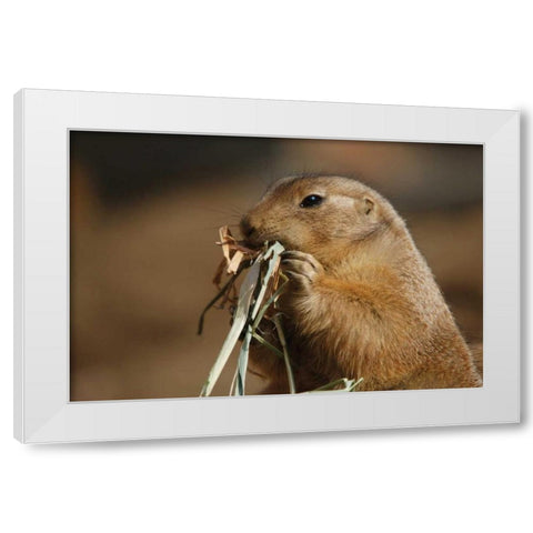 Soft Touch White Modern Wood Framed Art Print by Parker, Susann