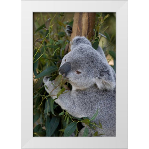 The Amiable White Modern Wood Framed Art Print by Parker, Susann