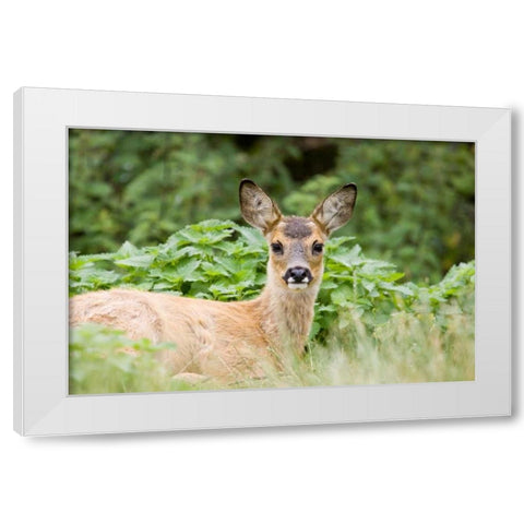 Auspicious White Modern Wood Framed Art Print by Parker, Susann