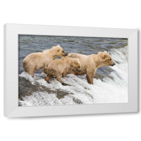 Day at the Falls White Modern Wood Framed Art Print by Parker, Susann