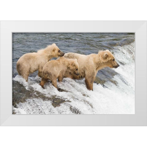 Day at the Falls White Modern Wood Framed Art Print by Parker, Susann