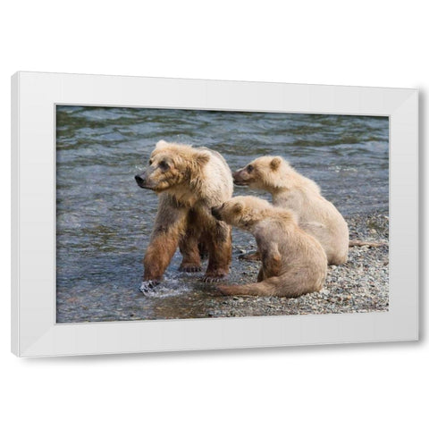 Training Day White Modern Wood Framed Art Print by Parker, Susann