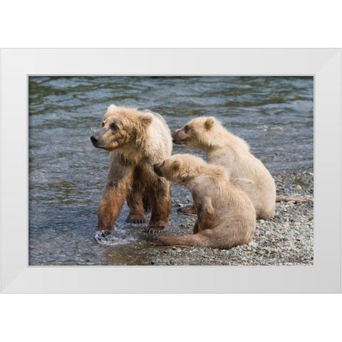 Training Day White Modern Wood Framed Art Print by Parker, Susann