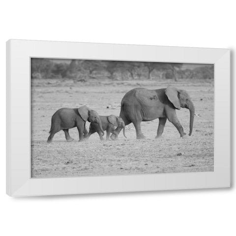 Memory Lane White Modern Wood Framed Art Print by Parker, Susann