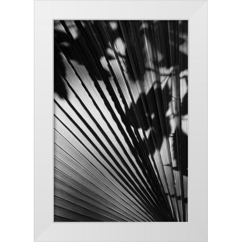 Shadow II White Modern Wood Framed Art Print by Peterson, Lee