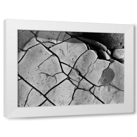 Texture II White Modern Wood Framed Art Print by Peterson, Lee