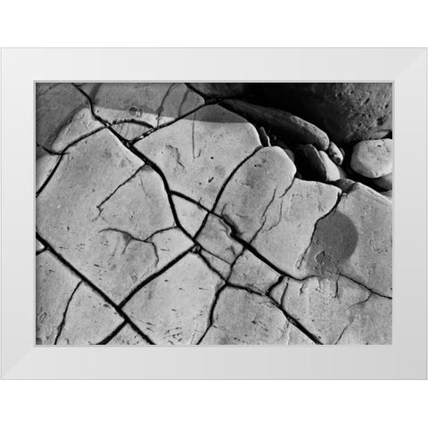Texture II White Modern Wood Framed Art Print by Peterson, Lee