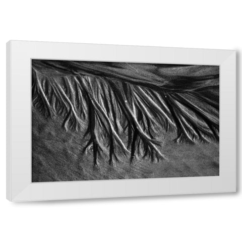 Texture Sand II White Modern Wood Framed Art Print by Peterson, Lee