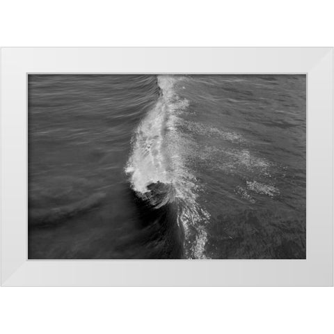 Wave I White Modern Wood Framed Art Print by Peterson, Lee