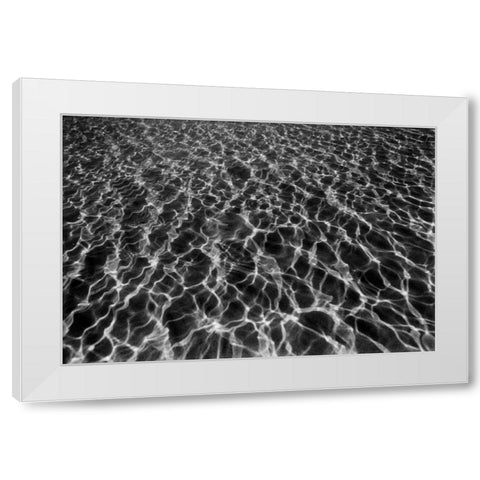 Underwater I White Modern Wood Framed Art Print by Peterson, Lee