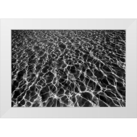 Underwater I White Modern Wood Framed Art Print by Peterson, Lee