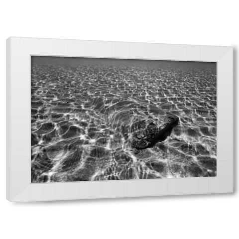 Underwater III White Modern Wood Framed Art Print by Peterson, Lee