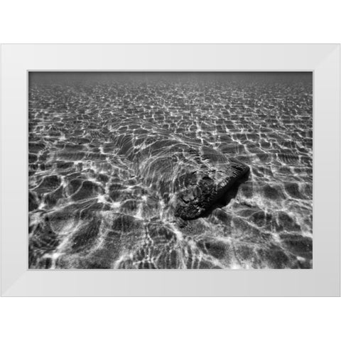 Underwater III White Modern Wood Framed Art Print by Peterson, Lee