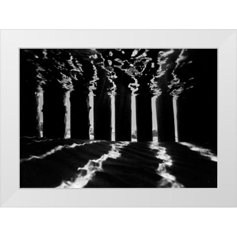 Pier Pilings IV White Modern Wood Framed Art Print by Peterson, Lee