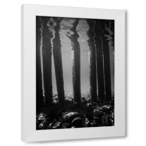 Pier Pilings V White Modern Wood Framed Art Print by Peterson, Lee